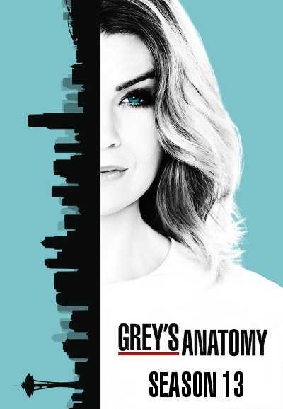 مسلسل Grey’s Anatomy الموسم 13 حلقة 17