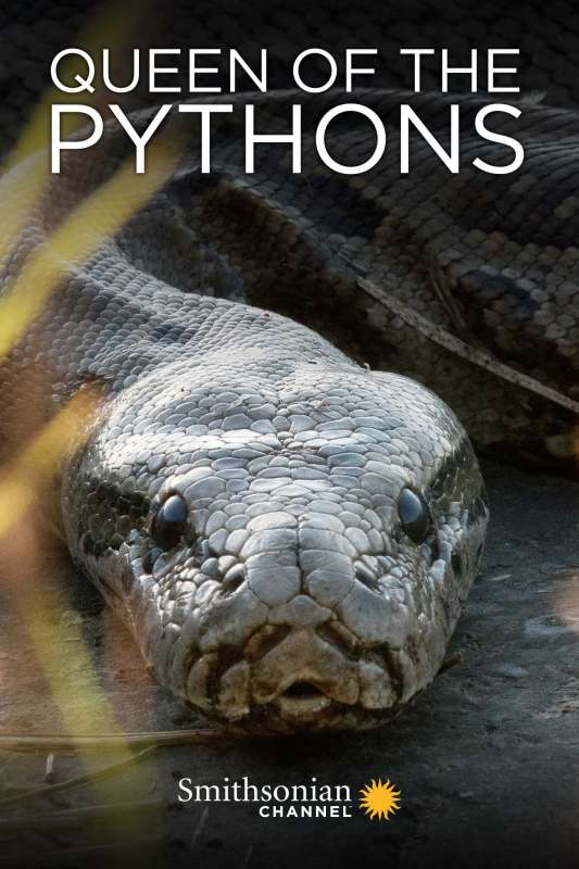 فيلم Queen of the Pythons 2019 مترجم