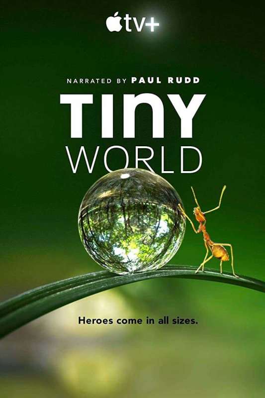 مسلسل Tiny World الموسم الاول حلقة 4