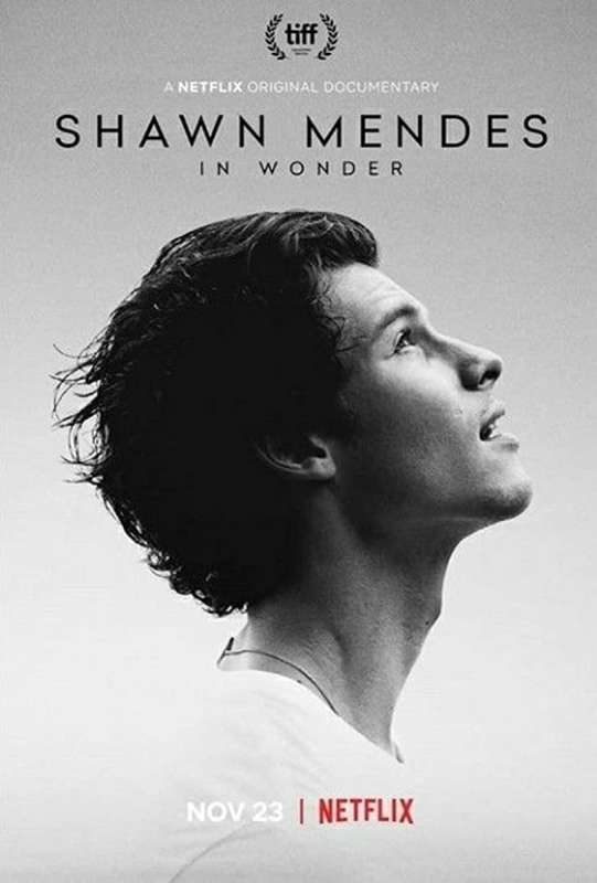 فيلم Shawn Mendes: In Wonder 2020 مترجم