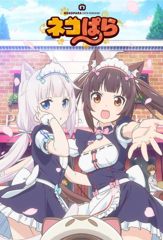 انمي Nekopara حلقة 11 مترجمة