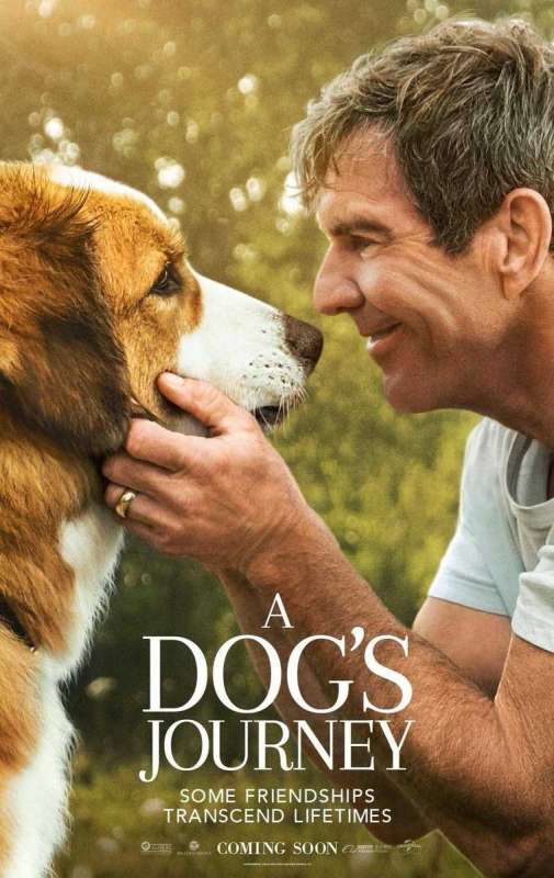 فيلم A Dog’s Journey 2019 مترجم