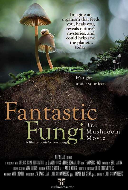 فيلم Fantastic Fungi 2019 مترجم