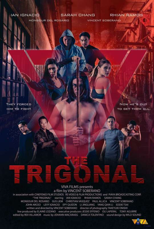 فيلم The Trigonal: Fight for Justice 2018 مترجم