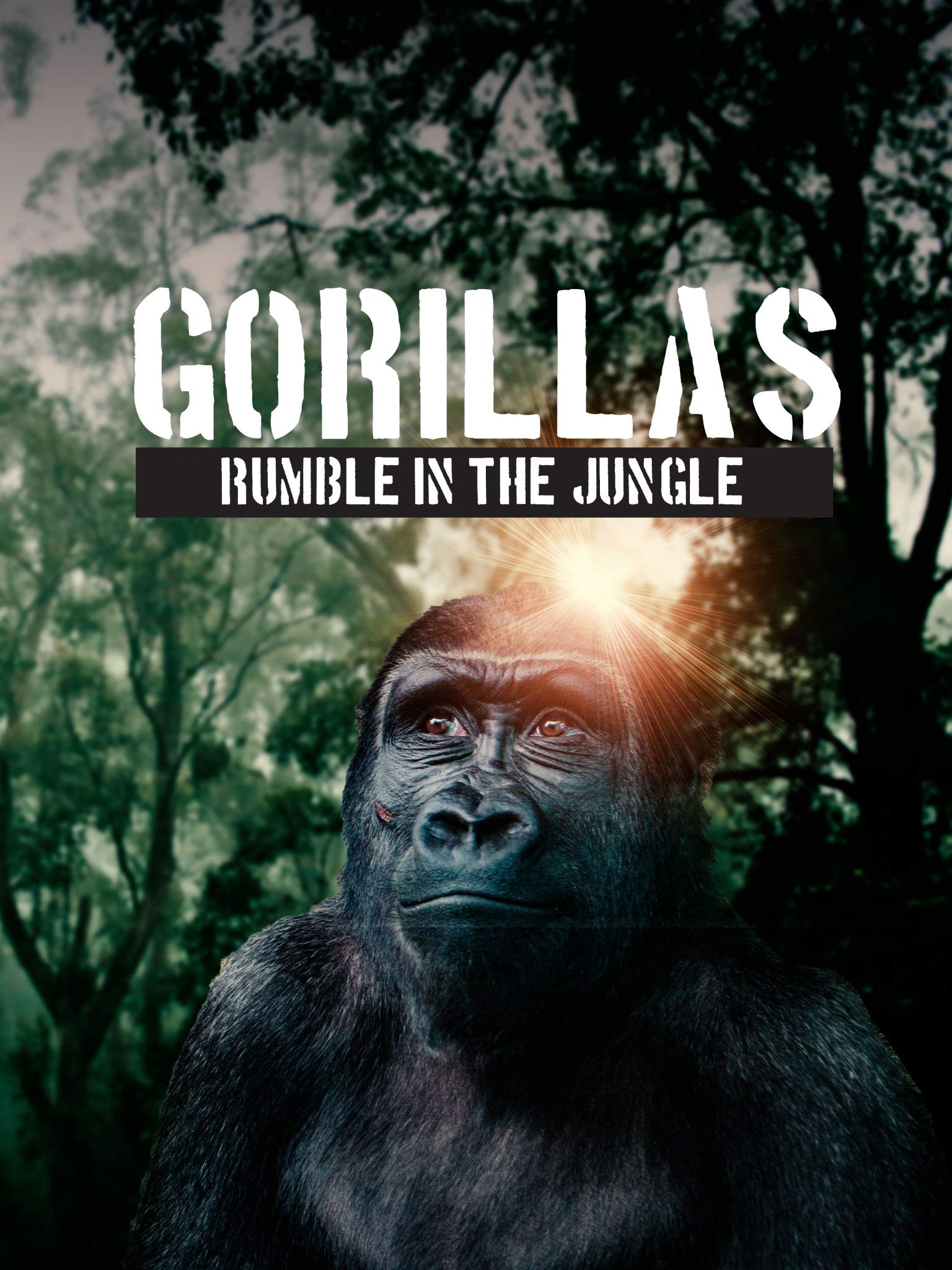 فيلم Gorillas Rumble In The Jungle 2020 مترجم