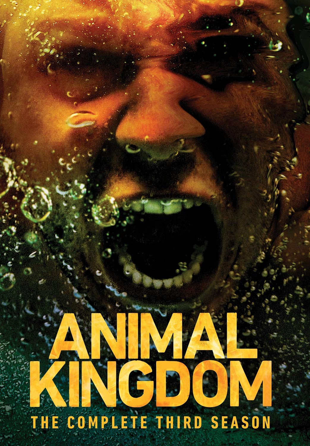 مسلسل Animal Kingdom الموسم الثالث حلقة 3