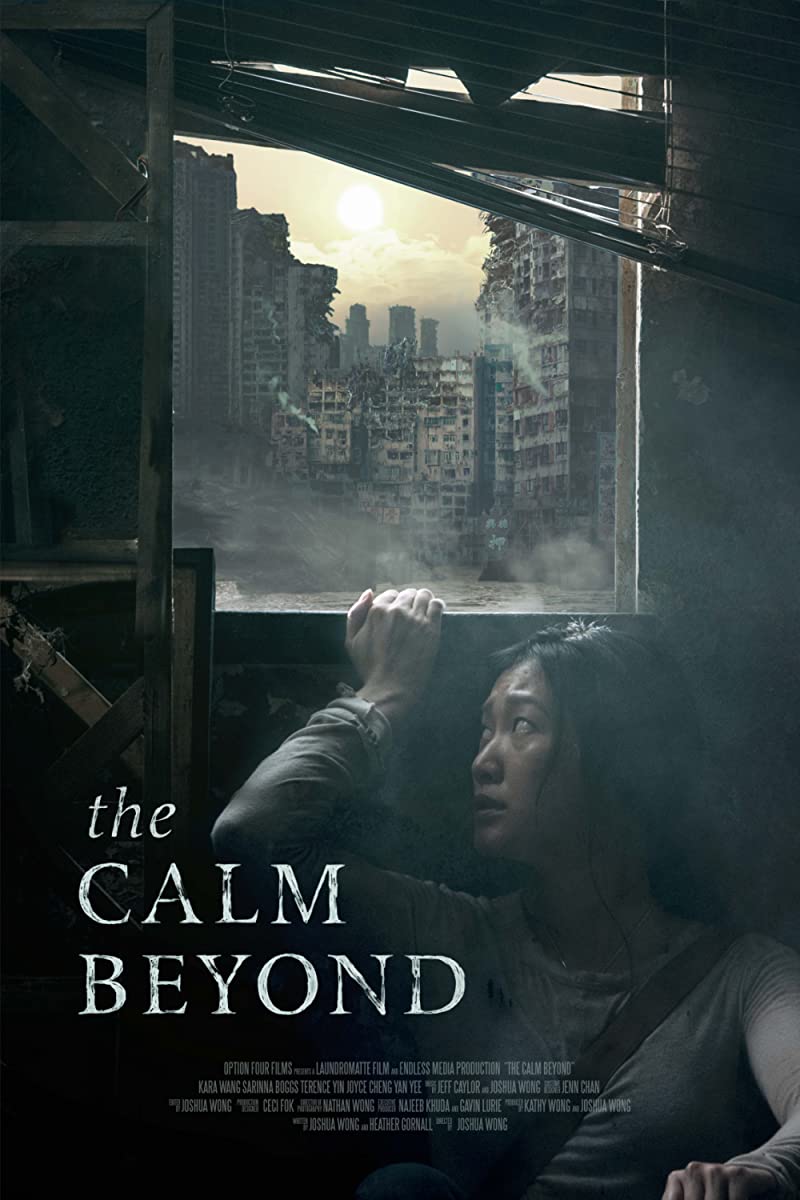 فيلم The Calm Beyond 2020 مترجم