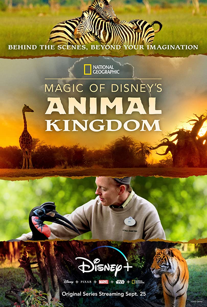 مسلسل Magic of Disney’s Animal Kingdom الموسم الاول حلقة 8 والاخيرة