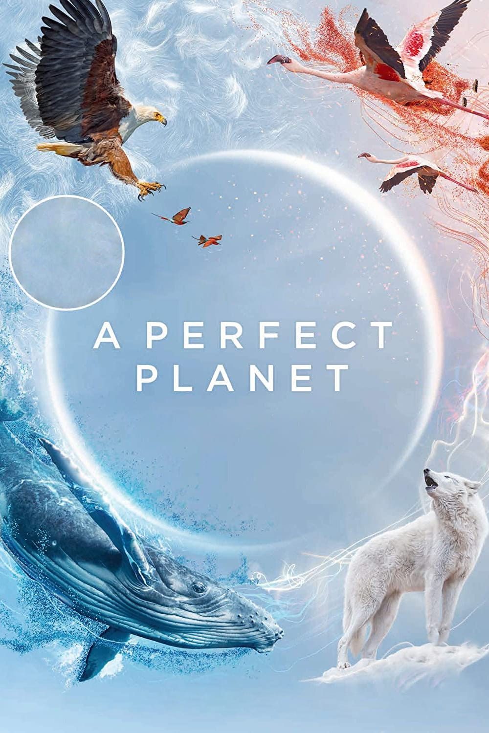 مسلسل A Perfect Planet الموسم الاول حلقة 3