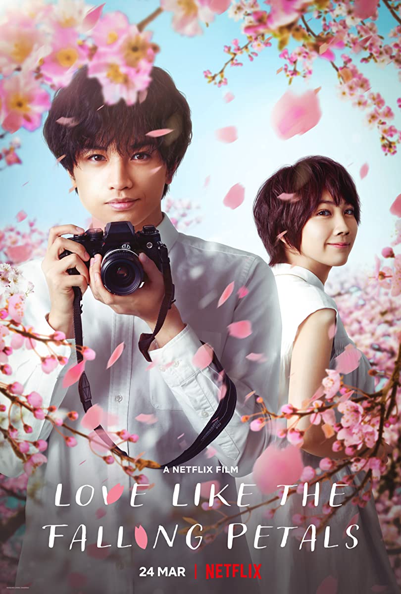 فيلم Love Like the Falling Petals 2022 مترجم