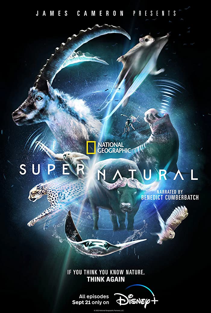 مسلسل Super/Natural الموسم الاول حلقة 4