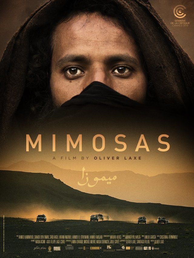 فيلم ميموزا