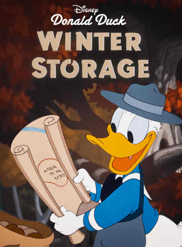 فيلم Winter Storage