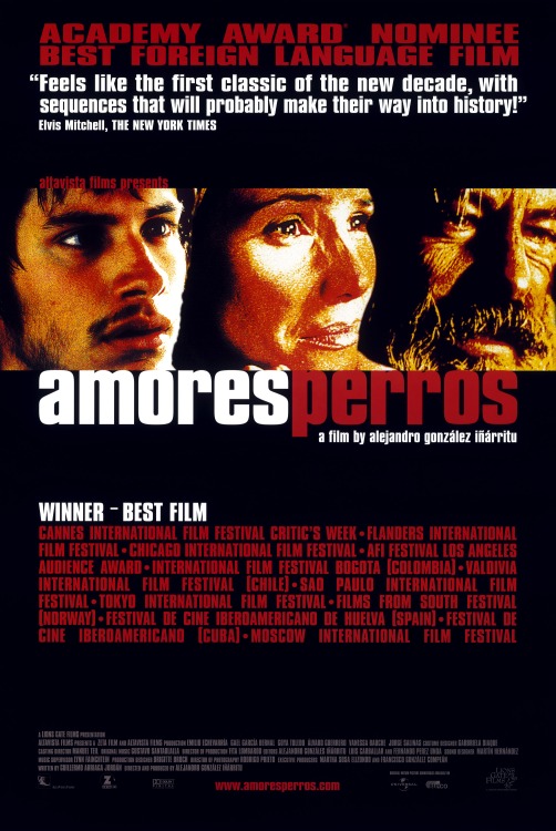 فيلم Amores Perros 2000 مترجم