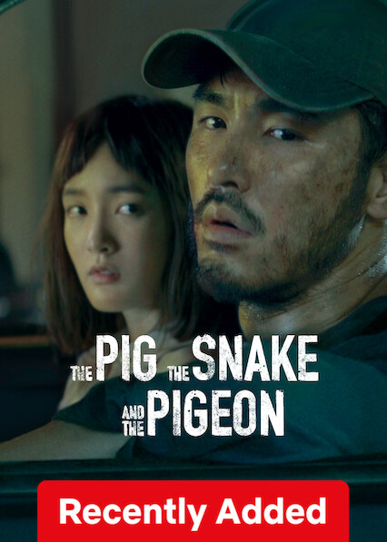 فيلم The Pig, the Snake and the Pigeon 2023 مترجم