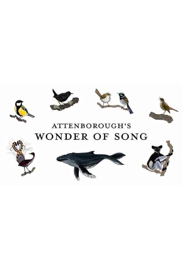 فيلم Attenborough’s Wonder of Song 2022 مترجم